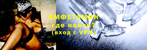 гашик Алексин