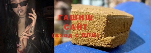 гашик Алексин