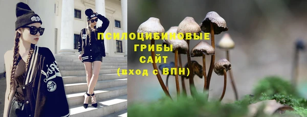 дмт Алексеевка