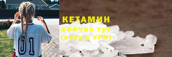 гашик Алексин