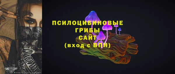 дмт Алексеевка