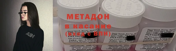 гашик Алексин