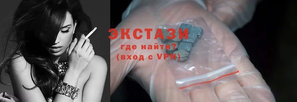 гашик Алексин