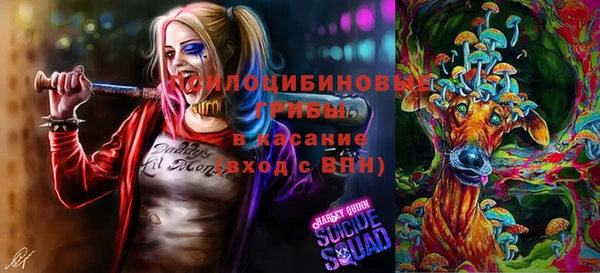 дмт Алексеевка
