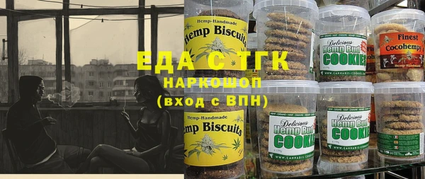 гашик Алексин