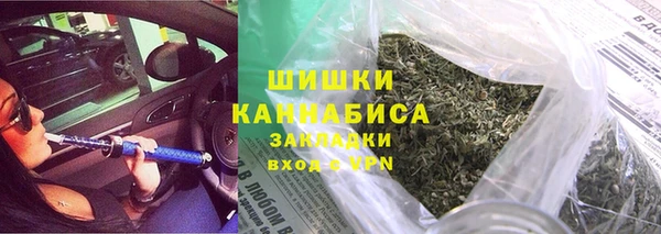 гашик Алексин