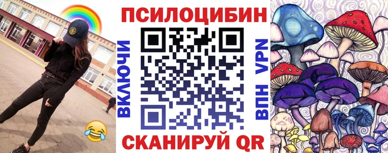 где можно купить   kraken ССЫЛКА  Псилоцибиновые грибы Cubensis  Пушкино 