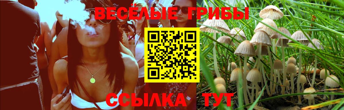 Галлюциногенные грибы Psilocybine cubensis  Вход с VPN  Псилоцибиновые грибы ЛСД  Пушкино 
